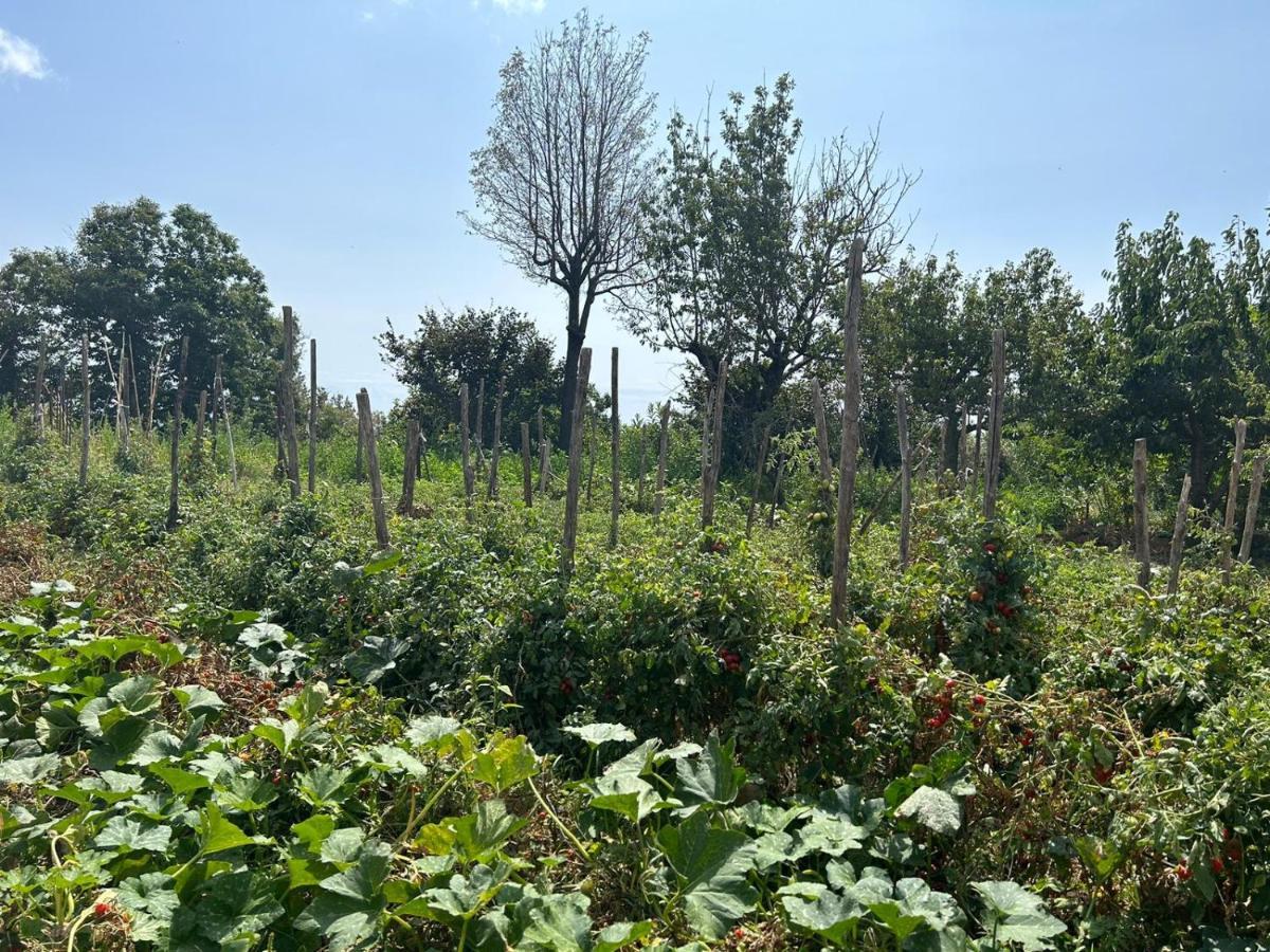 Luna D'Agerola Extérieur photo